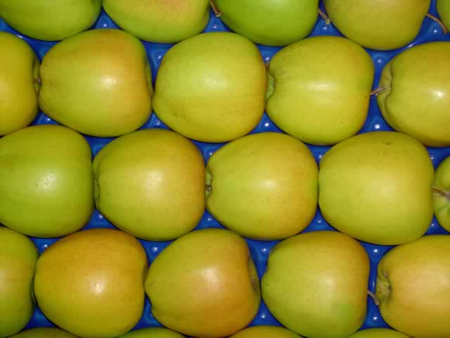 polskie jabłka producent owoców warzyw